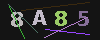 Gambar captcha
